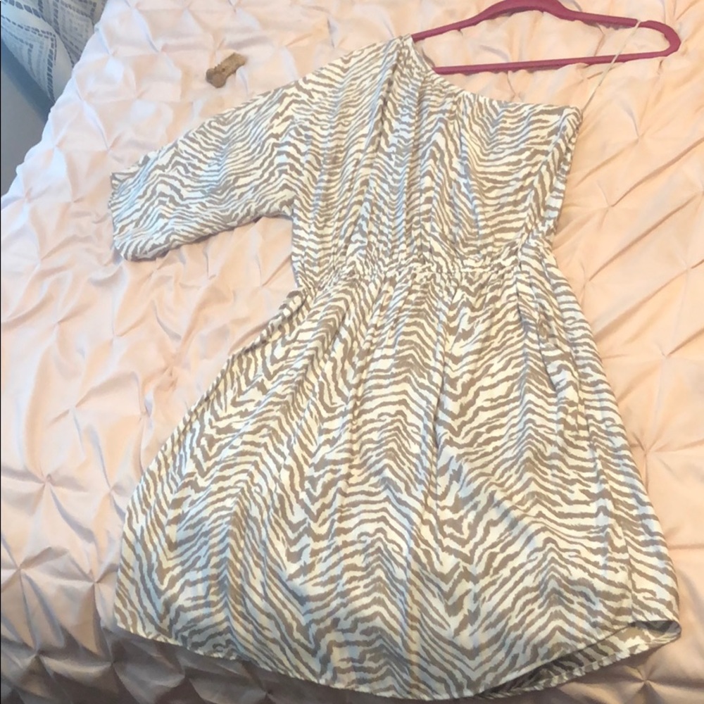 Express Zebra print dress